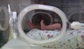 Лекари спасиха три недоносени бебета в Пловдив