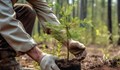 Мирослав Маринов: Нова техника ще подпомага залесяването и възобновяването на горите у нас