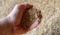 Пазарът на българско зърно тотално замря