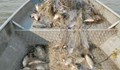 Два зоопарка в Бургаско получиха стотици килограми бракониерска риба