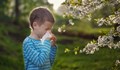 Учени откриха причина за повечето от най-разпространените алергии при децата