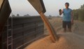 Румъния подготвя удължаване на ембаргото за украинско зърно