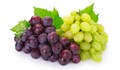 Шепа грозде всеки ден дава здраве на сърцето