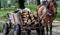 Конфискуваха каруци с 3 кубика дърва край Малко Враново