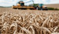 Изтича срокът на забраната за внос на украинско зърно