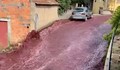 Вино заля улиците на град в Португалия