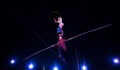 Международен цирков фестивал "Златен кон" ще гостува в Русе