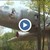 Самолет от Втората световна война се превърна в хотел