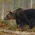 Автомобил блъсна и уби мечка в Испания