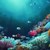 Учени изолираха непознати морски дълбоководни бактерии