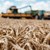 Експерти от БАБХ: Няма тежки метали в пшеницата от Украйна