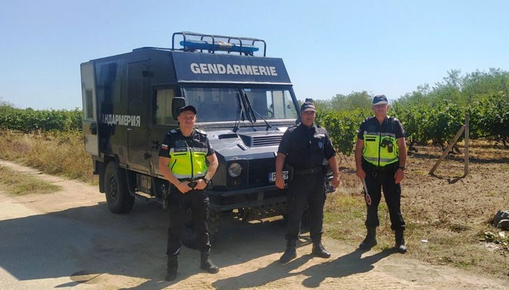 Полицейски служители охраняват гроздобера