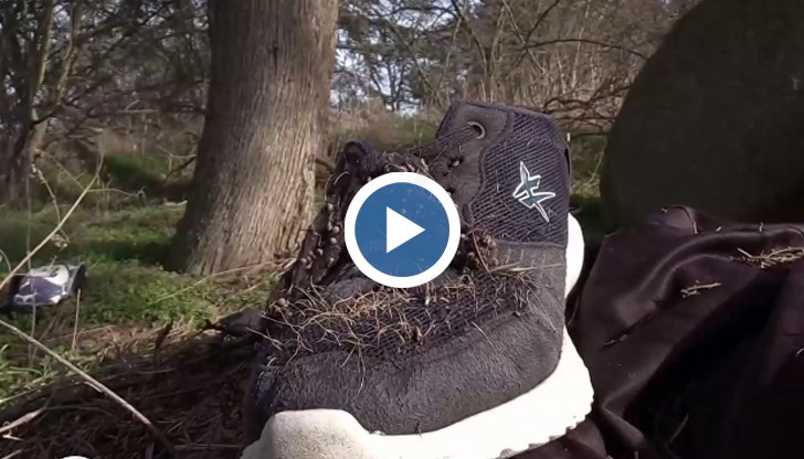 Често патоанатомите откриват в стомасите на труповете зелено прахообразно вещество