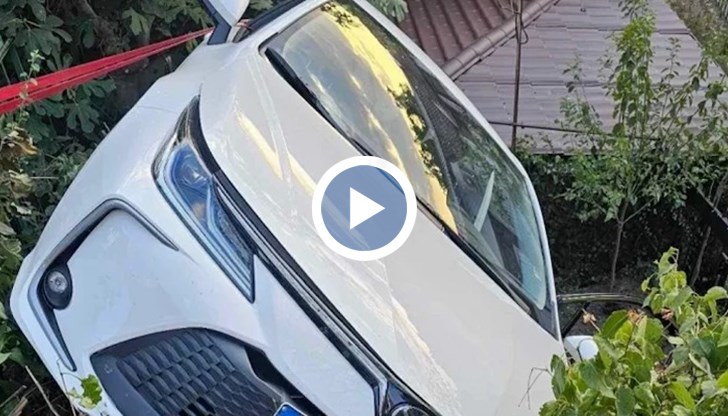 Разкази на свидетел и потърпевш