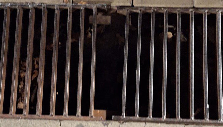 Решетката е счупена и целият ми крак до коляното пропадна в шахтата, разказа пострадалата Решетката е счупена и целият ми крак до коляното пропадна в шахтата, разказа пострадалата