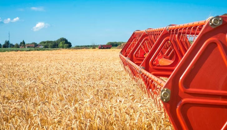 Крахът в земеделието не е просто затваряне на една фирма, това е домино, което ще доведе до сътресения в голяма част от доставчици, партньори и дългогодишни сътрудници, алармират от асоциацията на зърнопроизводителите Крахът в земеделието не е просто затваряне на една фирма, това е домино, което ще доведе до сътресения в голяма част от доставчици, партньори и дългогодишни сътрудници, алармират от асоциацията на зърнопроизводителите