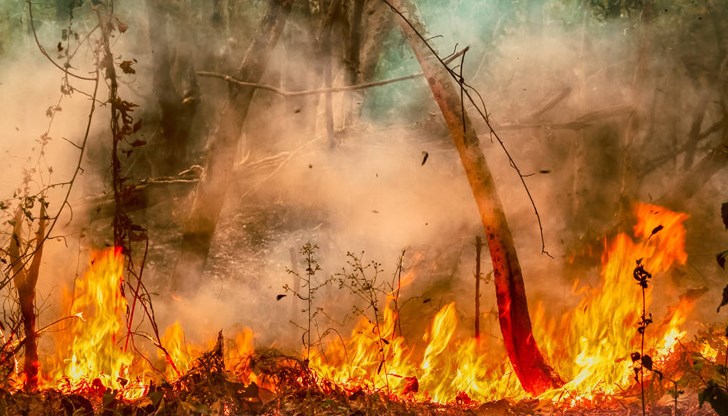 Няма пострадали хора и материални щети Няма пострадали хора и материални щети