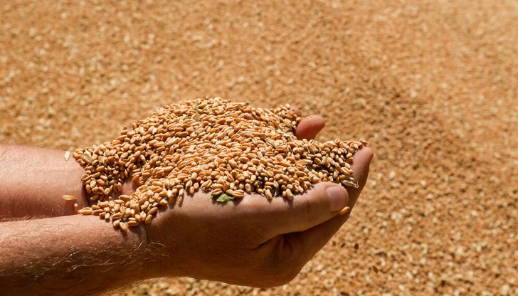 В съобщението на Ройтерс обаче Полша не се споменава В съобщението на Ройтерс обаче Полша не се споменава