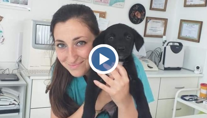 На този фон, хората в Царево продължават да почистват домовете си след придошлите води