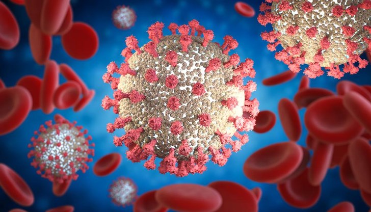 Според медиците "Пирола" има над 30 подвида