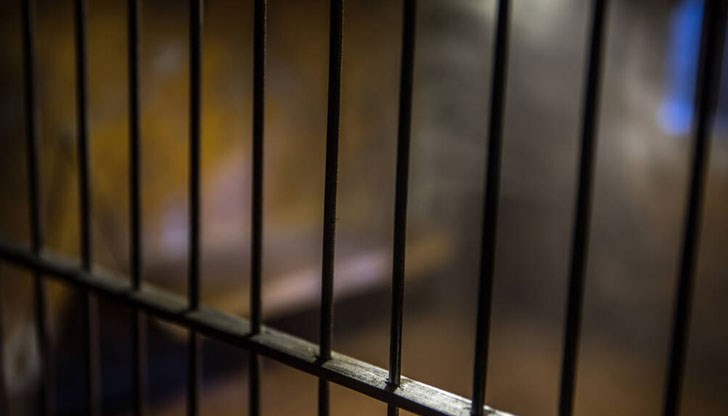 Те са с наложена мярка 30-дневен предварителен арест след обиск