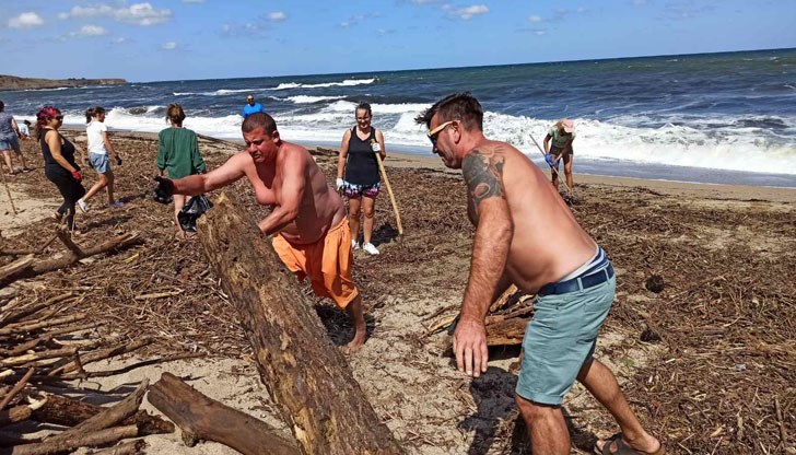 На място се събира пластмасата и се сортират изхвърлените дървета, с които бе засипан брегът