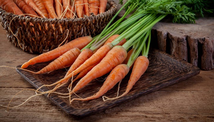 Първите култивирани моркови са били лилави или жълти