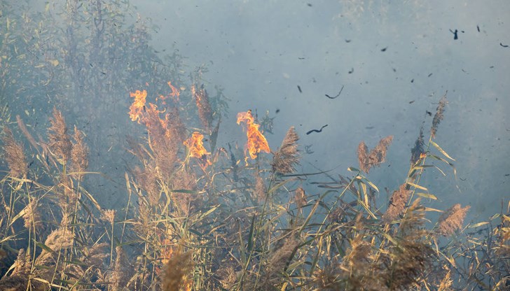 Пожарът е бил потушен без щети