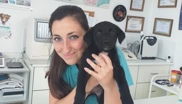 Край клиниката винаги се навъртаха улични котки, защото тя не ги оставяше гладни. Грижеше се за един странник - Георги и кучето му, купуваше им храна и лекарства, разказва приятелката ѝ Роза Димитрова