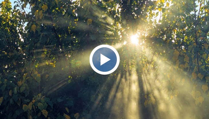 Британците приемат с радост необичайните горещини