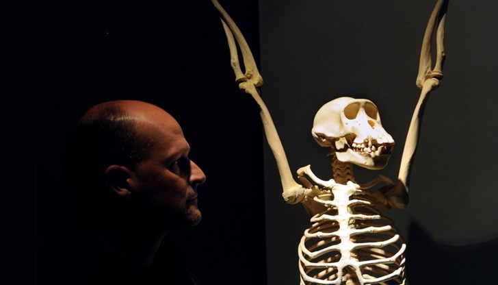 Причината за това може да е глобалното изменение на климата Причината за това може да е глобалното изменение на климата