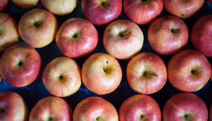 Ябълките по магазините обикновено са на възраст над една година