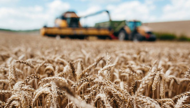 Споровете между Украйна и Полша относно вноса на украинско зърно надхвърлиха рамките на търговските разногласия
