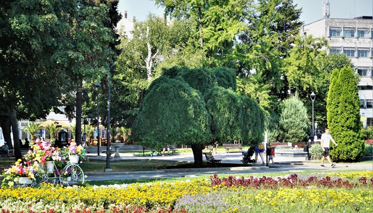 Най-многобройни сред имениците са жените, които се казват Надежда