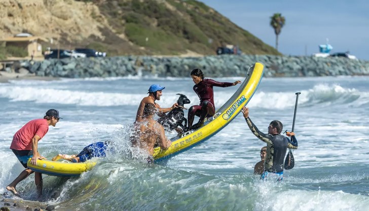 Преживното животно е неразделна част от урока по сърф на плажа Пизмоу в Калифорния