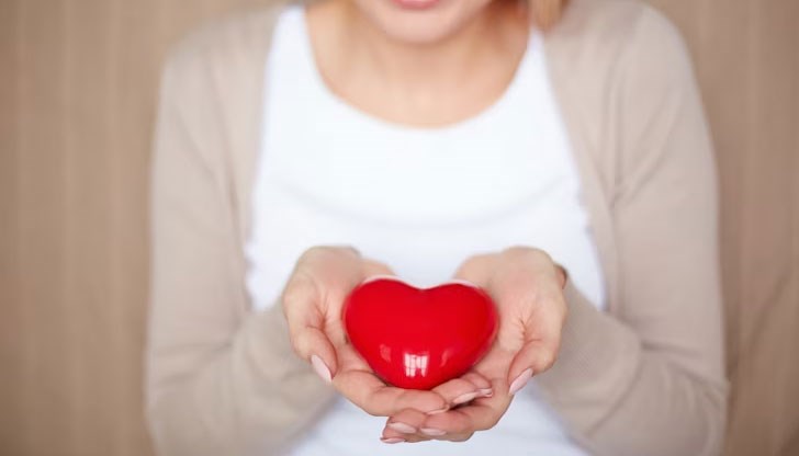 Семейство помогна безвъзмездно на закъсала на пътя русенка Семейство помогна безвъзмездно на закъсала на пътя русенка