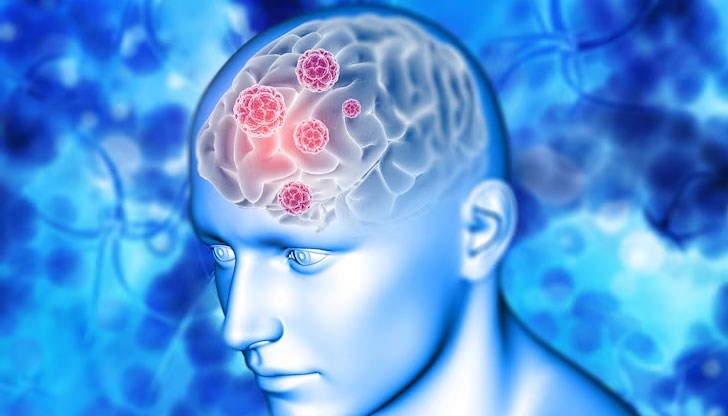 Изследването доказва, че сивото вещество показва признаци на активност много след 10 минути Изследването доказва, че сивото вещество показва признаци на активност много след 10 минути