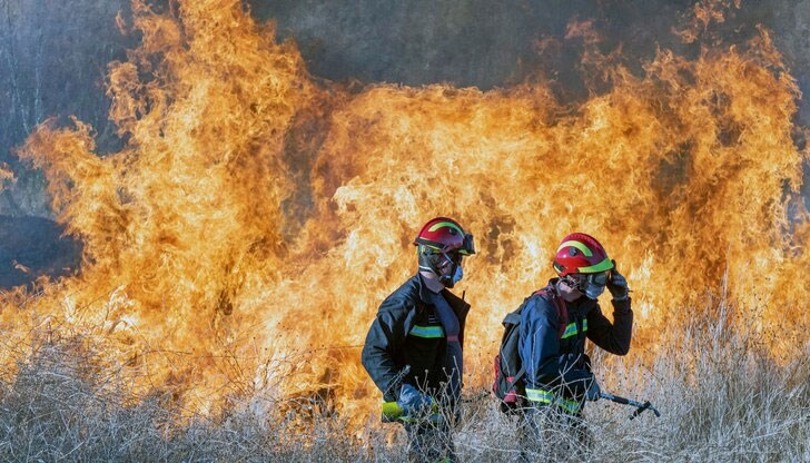 Около 600 пожарникари работят на терен, но пламъците са извън контрол