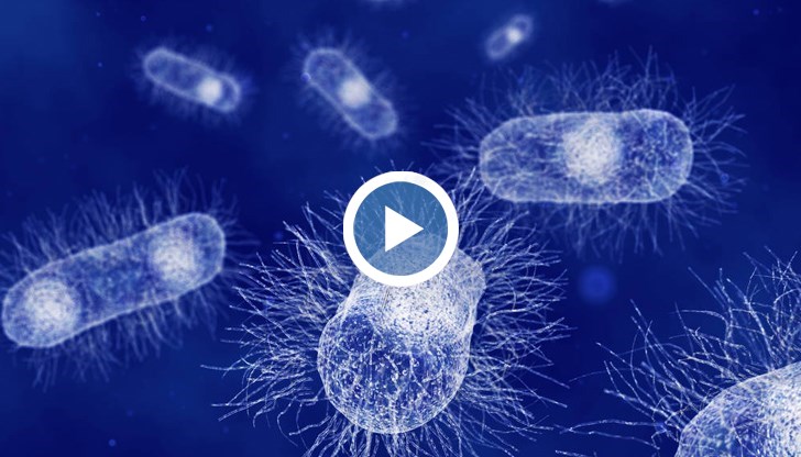 Знаете ли кога бактериите ни разболяват и кога ни пазят?