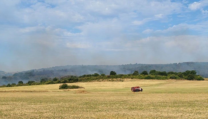 Общо три пожара бушуват в Хасковска област днес следобед
