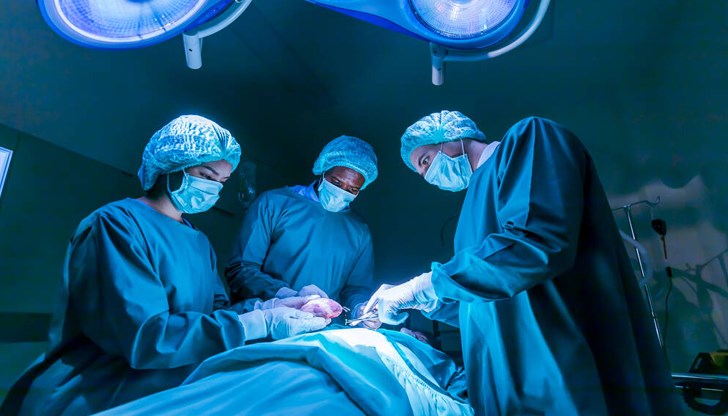 Близките на изпаднала в мозъчна смърт 76-годишна жена вземат благородното решение да дарят нейните органи Близките на изпаднала в мозъчна смърт 76-годишна жена вземат благородното решение да дарят нейните органи