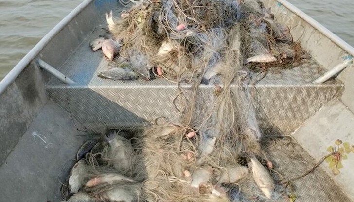 Рибата е иззета при проверка на язовир "Мандра" Рибата е иззета при проверка на язовир "Мандра"