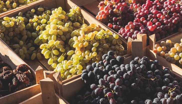 Вносът на македонско грозде застрашава местните производители