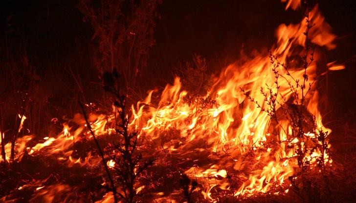 Огнеборци втори ден се борят с пожара