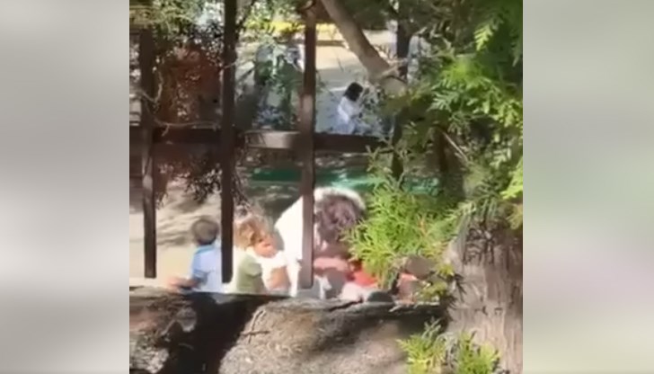 Извършва се проверка в детска градина в Благоевград, след сигнал за насилие над дете