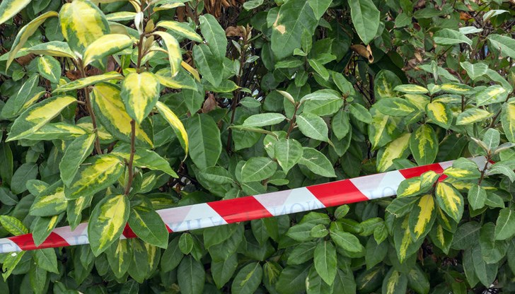 Доброволците чакат разследващите да приключат работата на място