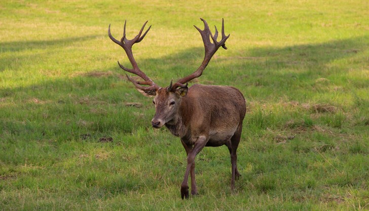 Задържани са седем мъже и жена