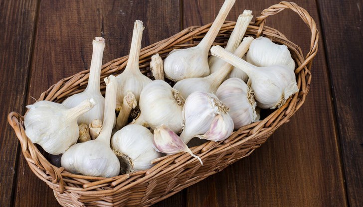 Първи празник „Чудото на чесъна – храна и лекарство“