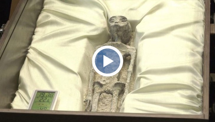 И двете тела имат по три пръста на всяка ръка и издължен череп