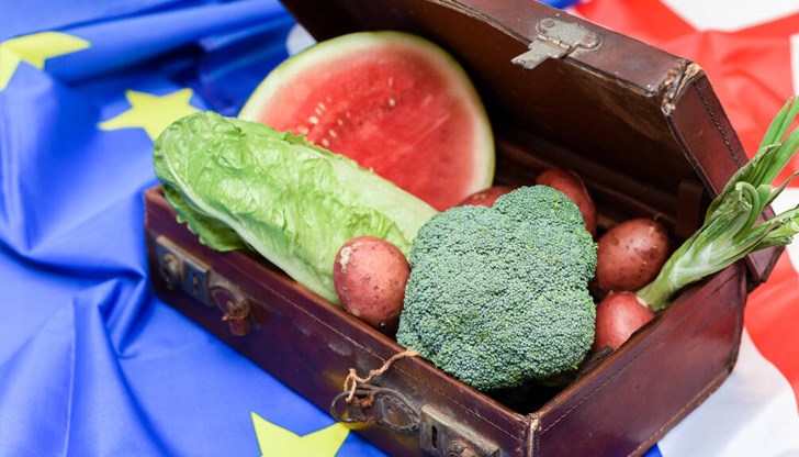 Каквото изостане в Германия, Франция, откъдето каквото има боклук – всичко се кара тук, коментира Владимир Шаренкапов